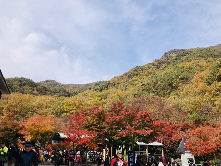 e05a0f42e4dd52b100c794139021b910_1573806